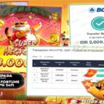 kemenangan tiger fortune rajaslot 18 mei 2025