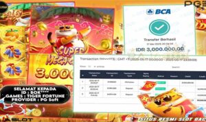 kemenangan tiger fortune rajaslot 18 mei 2025