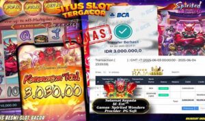 player ext*** berhasil meraih kemenangan dari Spirited Wonders di rajaslot